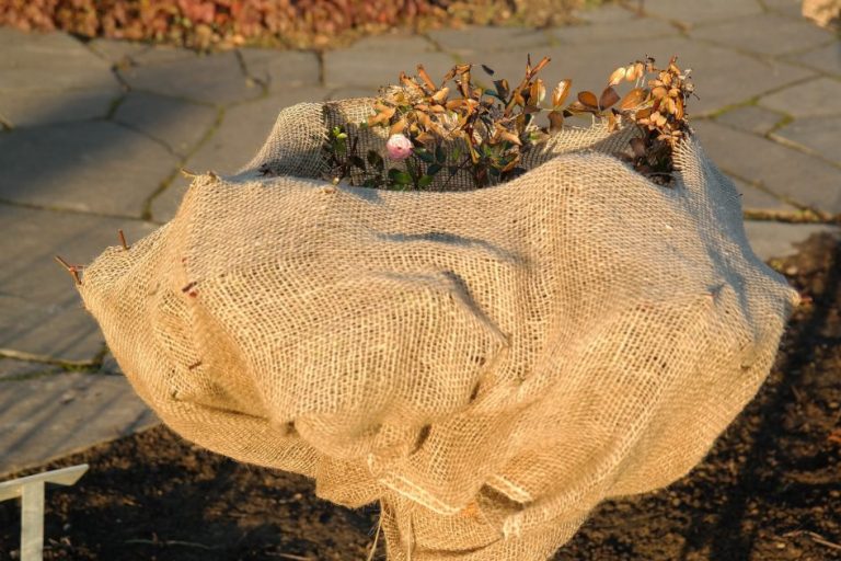How to prepare your landscaping for winter