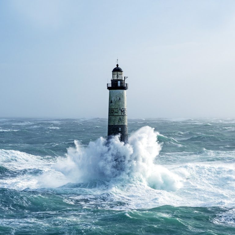 Getting a read on the state of organizations