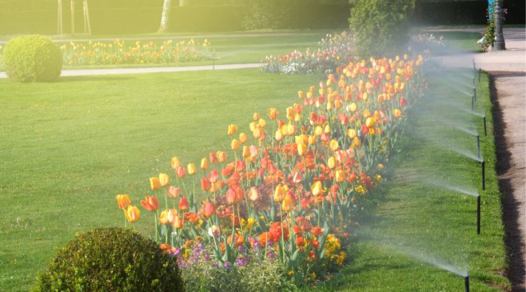 Water-saving Benefits of Smart Irrigation Systems