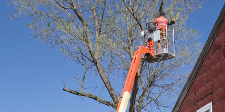 A Better Understanding of NFPA 70E: Part IV – Two Types of Exposure to Electricity Fatalities