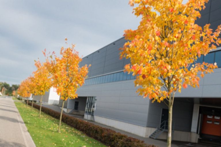 4 Ways to Prepare Your Facilities for Fall