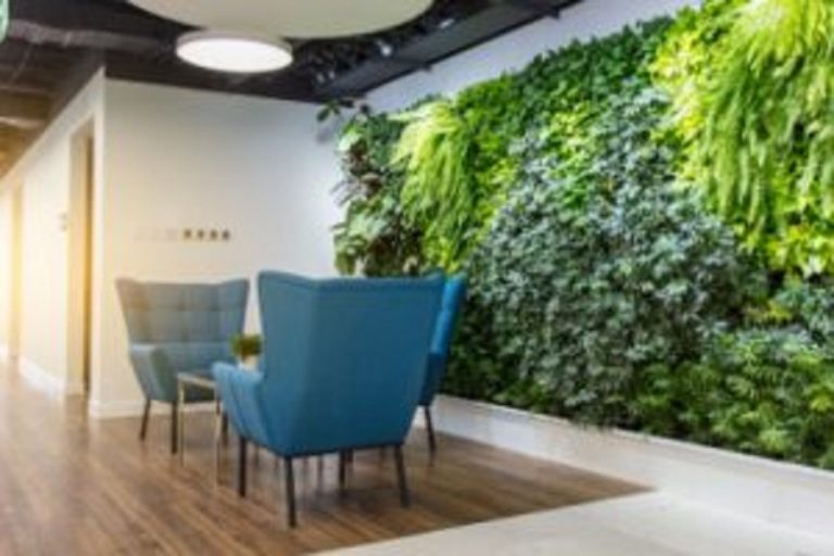 Incorporating a Biophilic Design into Your Facilities