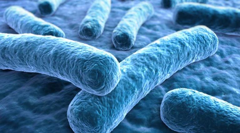Understanding Design Considerations to Prevent Legionella