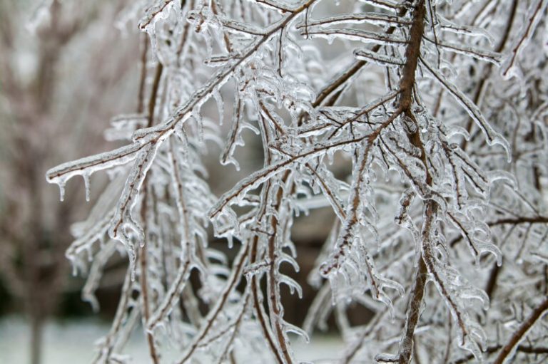Preparing your facility for winter storms
