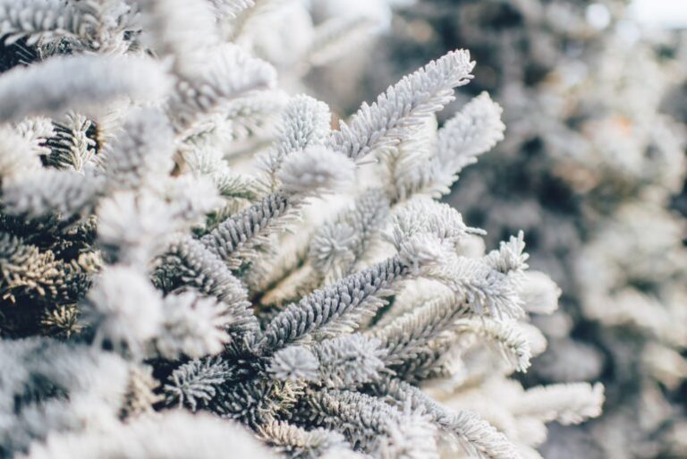 Winter curb appeal for your building