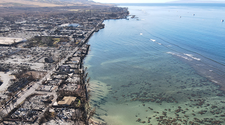 aftermath of a wildfire