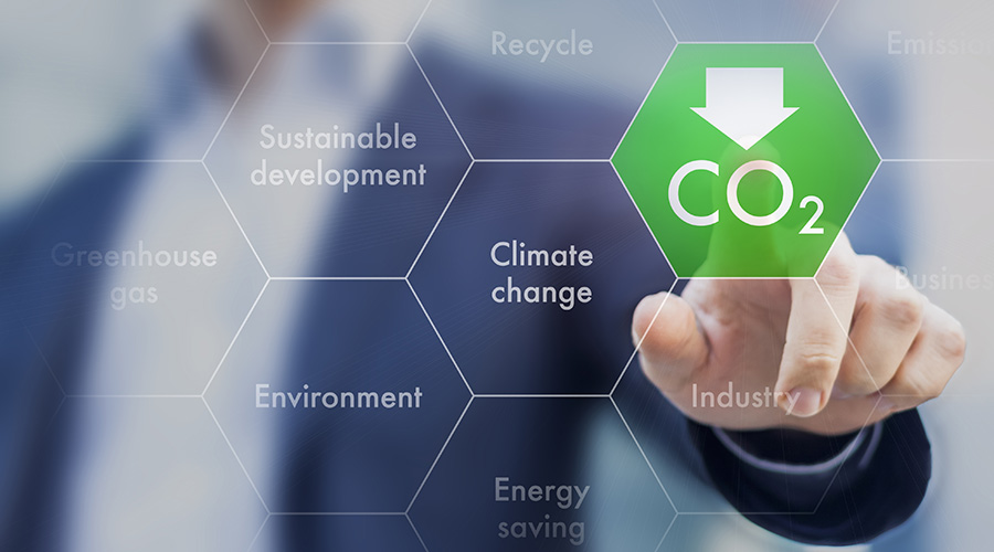 How to Prioritize Embodied Carbon in Sustainability Initiatives