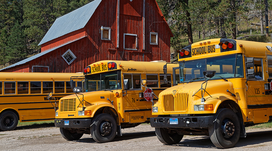 school buses 