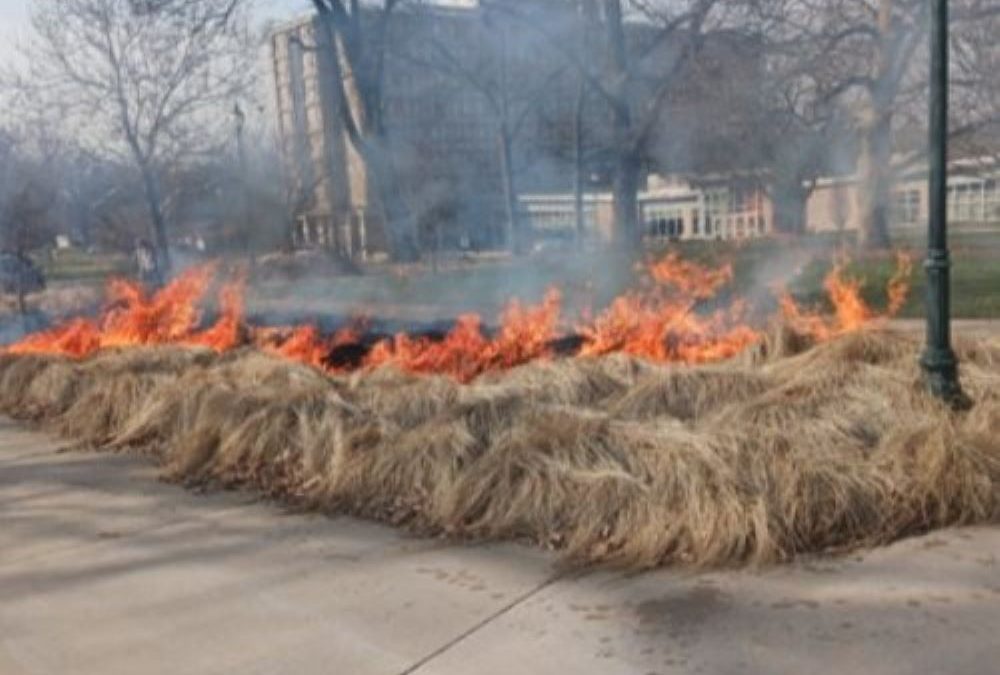 WIU Facilities Management Team Conducts Open Burns to Boost Campus Landscape