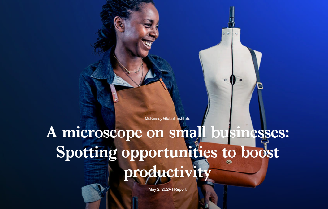 A microscope on small businesses: Spotting opportunities to boost productivity