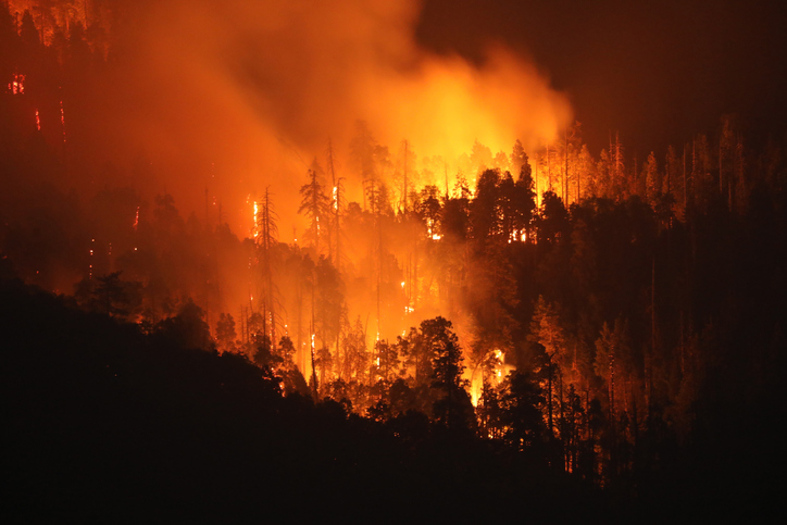 Fortifying Facilities Against Growing Wildfire Threats