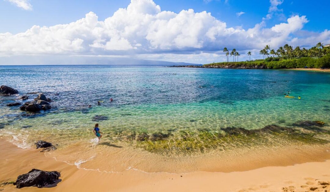 The Hawaii seabed mining ban doesn’t spell the end of EV batteries