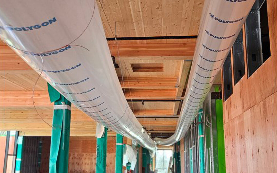 5 lessons in water mitigation for mass timber projects