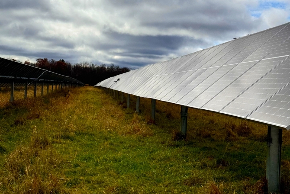 College Advances 100% Renewable Energy Goal with New Solar Project