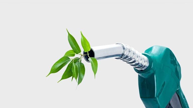 A green gas nozzle is shown against a light gray background with a leafy green plant coming out of the metal nozzle. 