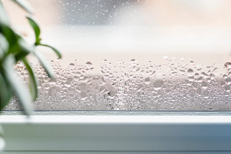 The importance of managing the humidity in your building