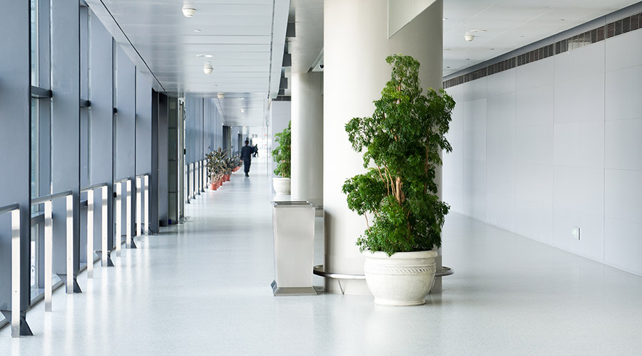 The Benefits of Biophilic Design in Healthcare Facilities