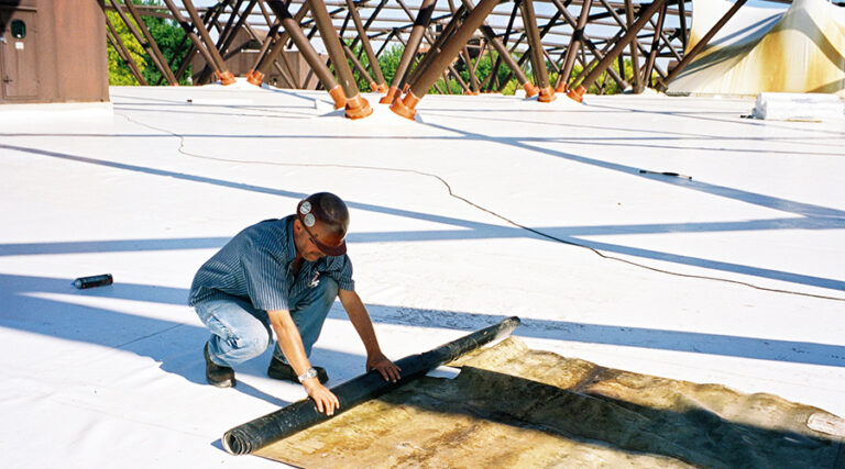 Raising the Roof on Sustainability