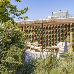 The amenity trap: why more isn’t always better