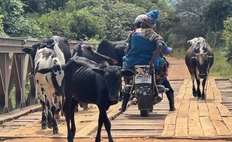 Engineer ECS, Engineers Without Borders Restore Impassible Road in Africa