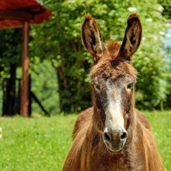 Resistance to change is holding the UK back, report suggests
