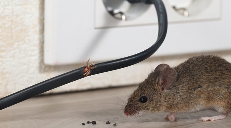 DOGE Under Fire for Damage to Facility