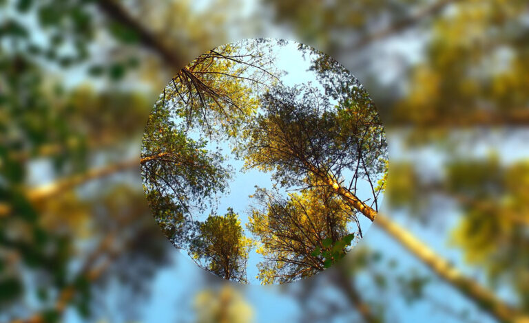 Is sustainability consulting right for you? Ask yourself these 7 questions