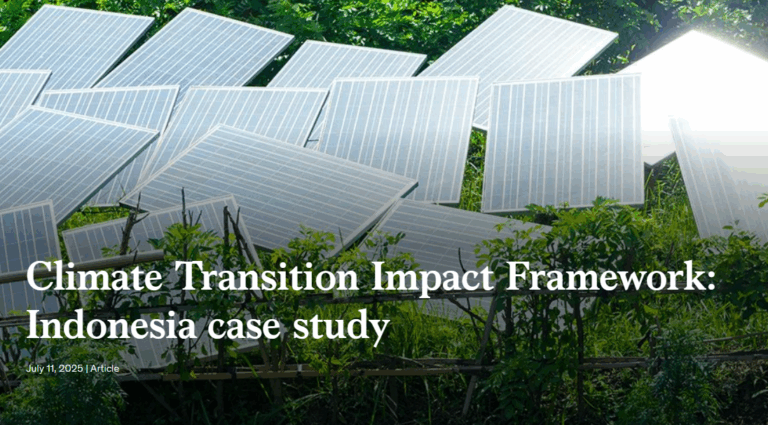 Climate Transition Impact Framework: Indonesia case study