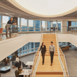 How mentorship and community shape the future of workplace design