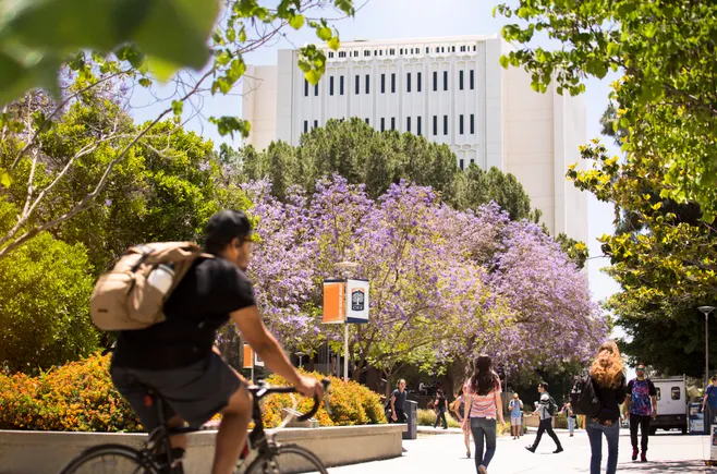 How Cal State is betting on shared services amid funding cuts
