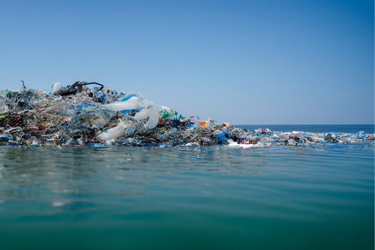 From Office to Ocean: Turning the Tide on Plastic Pollution