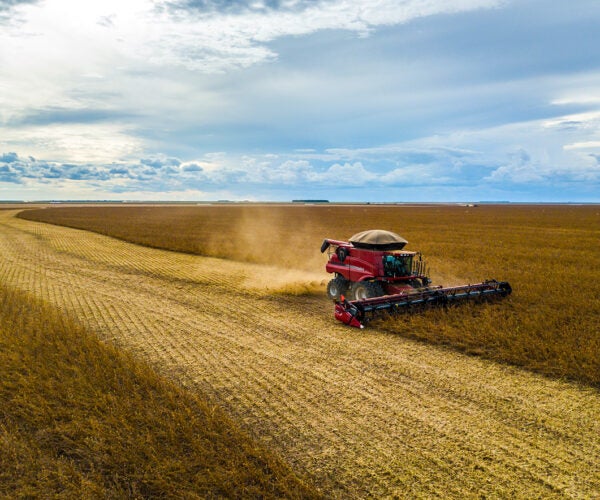 How Regulatory Enforcement and Transparency Could Bring Environmental Gains