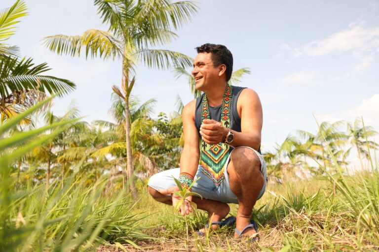 Mega-scale forest carbon programs have major promise — and big challenges