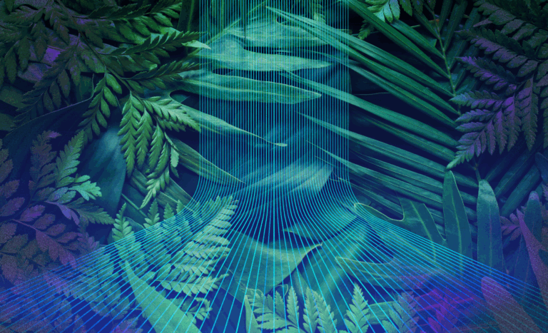 At COP30, governments follow the lead on corporate climate procurement