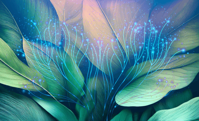 Decarbonization demands pragmatism, not purity