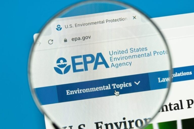 Will the ENERGY STAR Program Survive?