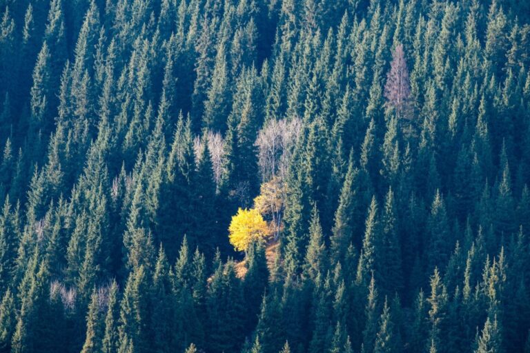 Counterpoint: How leadership shows up today