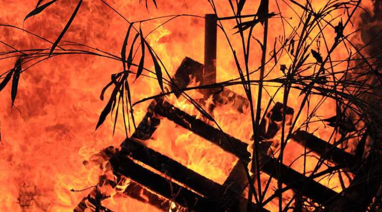 Beyond the Fireline: Vegetation Management is Part of Fire Strategy