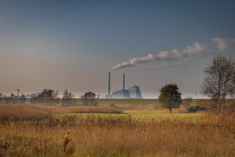 What Microsoft learned from purchasing millions of carbon removal credits