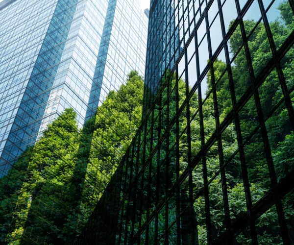 Greenhushing: When Firms Do More Than They Say
