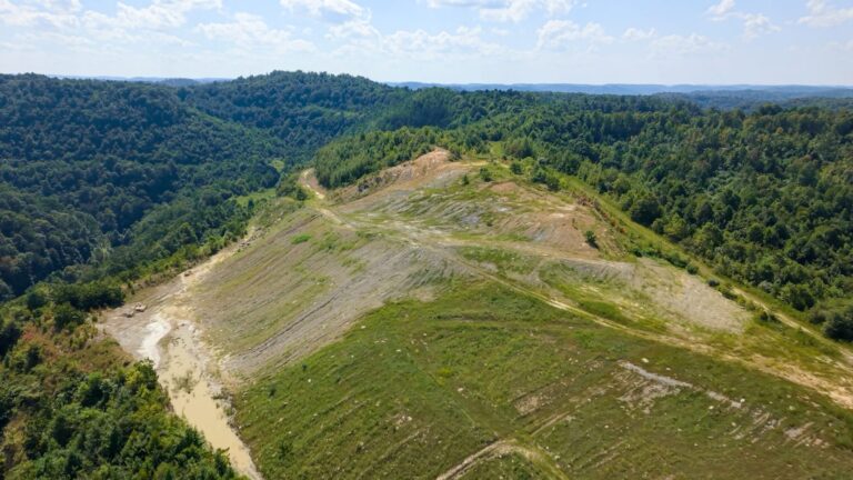 How Google, McKinsey and others got finance to say “yes” on nature-based carbon removals